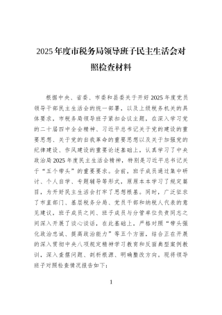 2025年度市税务局领导班子民主生活会对照检查材料