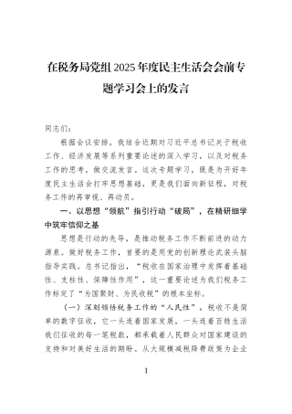 在税务局党组2025年度民主生活会会前专题学习会上的发言