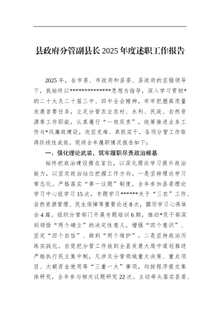 县政府分管副县长2025年度述职工作报告