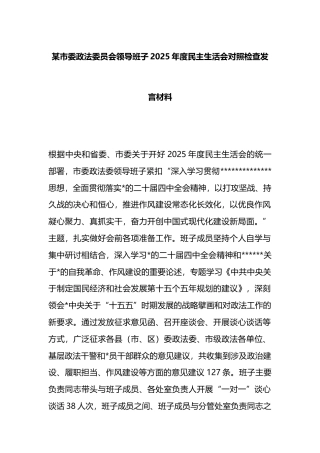 市委政法委员会领导班子2025年度民主生活会对照检查发言材料