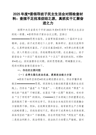 2025年度领导班子民主生活会对照检查材料：查摆不足找准症结之源，真抓实干汇聚奋进之力