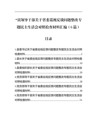 关于省委巡视反馈问题整改专题民主生活会对照检查材料汇编（6篇）