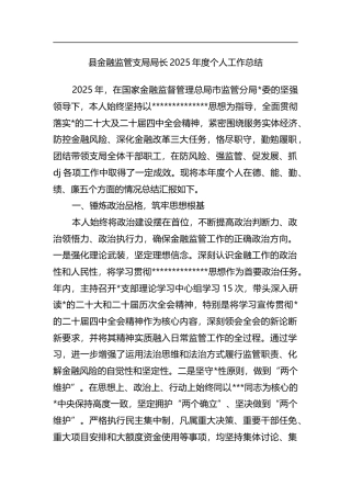 县金融监管支局局长2025年度个人工作总结