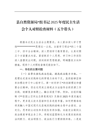县自然资源局书记2025年度民主生活会个人对照检查材料（五个带头）