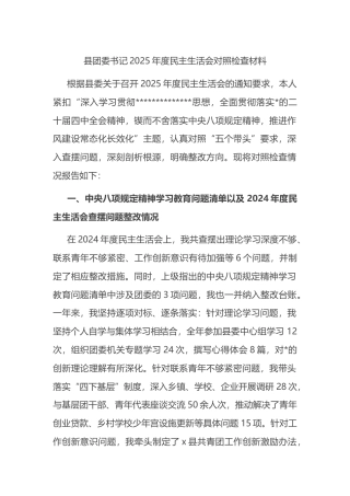 县团委书记2025年度民主生活会对照检查材料