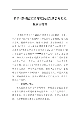 乡镇书记2025年度民主生活会对照检查发言材料