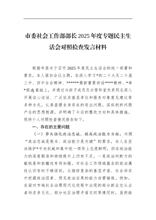 市委社会工作部部长2025年度专题民主生活会对照检查发言材料