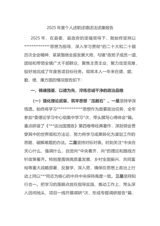 2025年度个人述职述德述法述廉报告