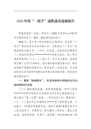 2025年度“一把手”述职述责述廉报告