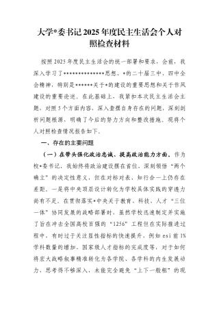 大学书记2025年度民主生活会个人对照检查材料(五个带头)
