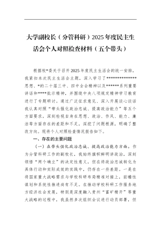 大学副校长（分管科研）2025年度民主生活会个人对照检查材料（五个带头）