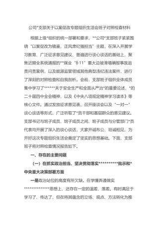 公司支部关于以案促改专题组织生活会班子对照检查材料