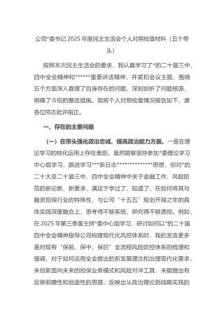 公司书记2025年度民主生活会个人对照检查材料（五个带头）
