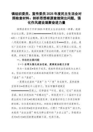 镇组织委员、宣传委员2025年度民主生活会对照检查材料：剖析思想根源查摆突出问题，强化作风建设凝聚奋进力量