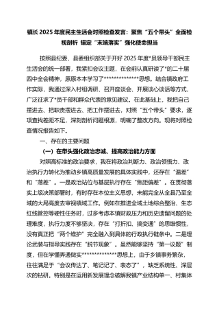 镇长2025年度民主生活会对照检查发言：聚焦“五个带头”全面检视剖析+锚定“末端落实”强化使命担当