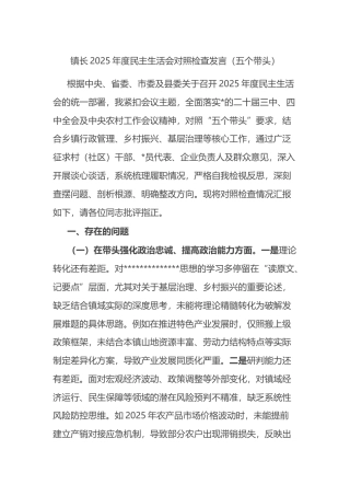 镇长2025年度民主生活会对照检查发言（五个带头）