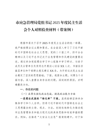 市应急管理局党组书记2025年度民主生活会个人对照检查材料（带案例）