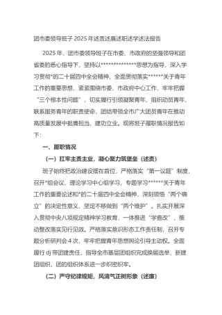 团市委领导班子2025年述责述廉述职述学述法报告