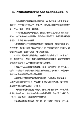 2025年度民主生活会对领导班子及班子成员的意见及建议（30条）