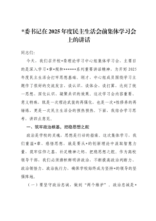 书记在2025年度民主生活会前集体学习会上的讲话