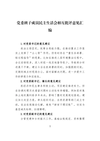 党委班子成员民主生活会相互批评意见汇编