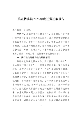 镇宣传委员2025年度述责述廉报告