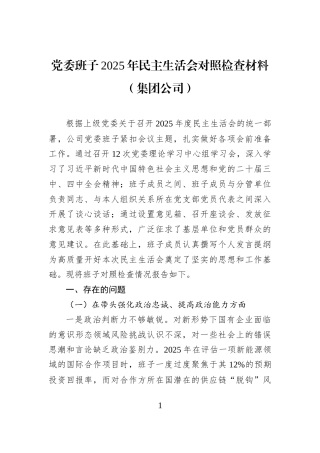 党委班子2025年民主生活会对照检查材料（集团公司）