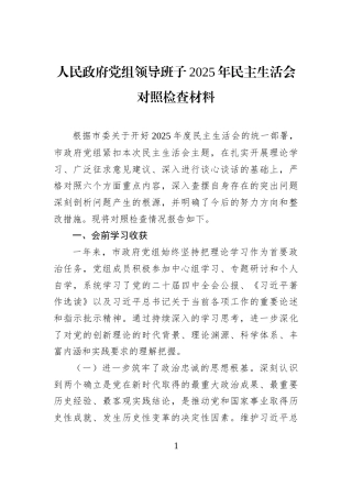 人民政府党组领导班子2025年民主生活会对照检查材料