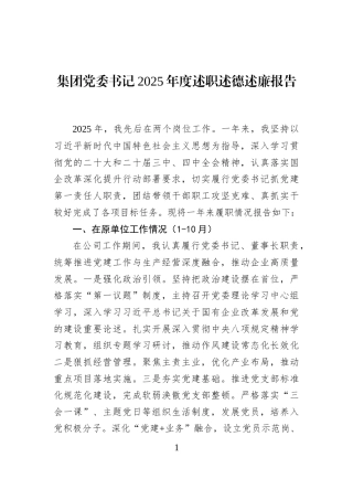 集团党委书记2025年度述职述德述廉报告