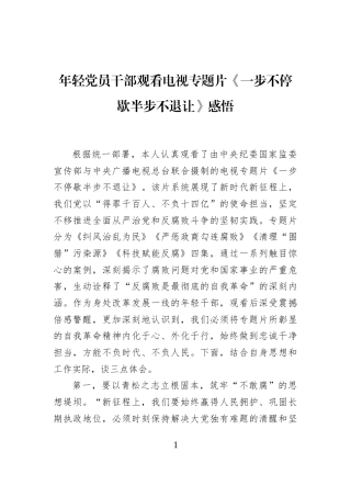 年轻党员干部观看电视专题片《一步不停歇半步不退让》感悟