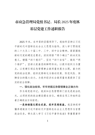 市应急管理局党组书记、局长2025年度抓基层党建工作述职报告