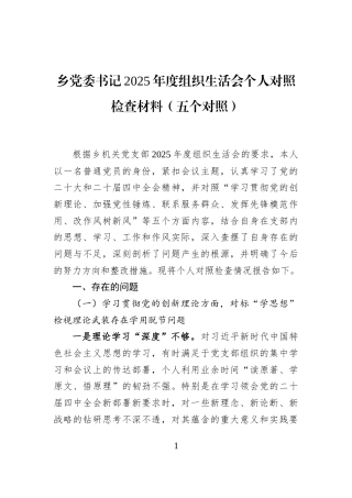 乡党委书记2025年度组织生活会个人对照检查材料（五个对照）