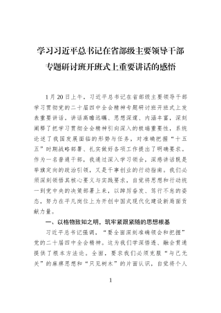 学习习近平总书记在省部级主要领导干部专题研讨班开班式上重要讲话的感悟