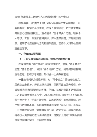 2025年度民主生活会个人对照检查材料(五个带头)