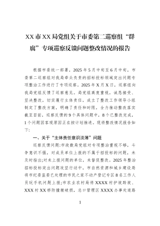 XX市XX局党组关于市委第二巡察组“群腐”专项巡察反馈问题整改情况的报告