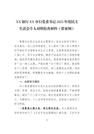 XX银行XX分行党委书记2025年度民主生活会个人对照检查材料（带案例）
