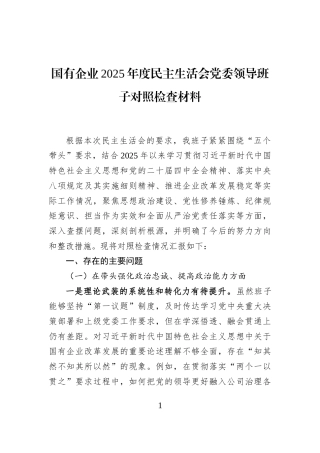 国有企业2025年度民主生活会党委领导班子对照检查材料