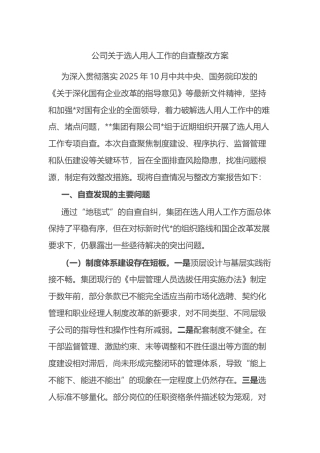 公司关于选人用人工作的自查整改方案