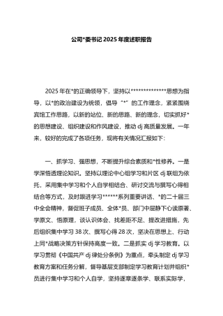 公司党委书记2025年度述职报告