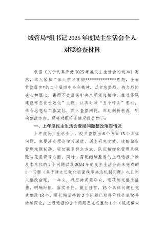 城管局书记2025年度民主生活会个人对照检查材料