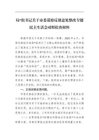 局书记关于市委巡察反馈意见整改专题民主生活会对照检查材料