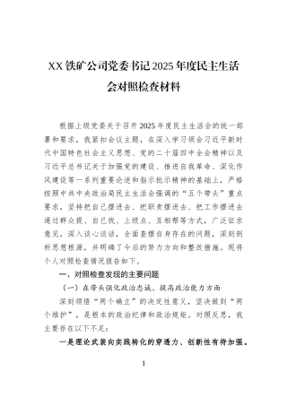 XX铁矿公司党委书记2025年度民主生活会对照检查材料