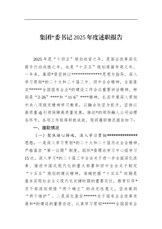 集团书记2025年度述职报告