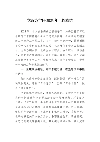 党政办主任2025年工作总结