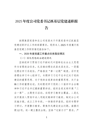 2025年度公司党委书记抓基层党建述职报告