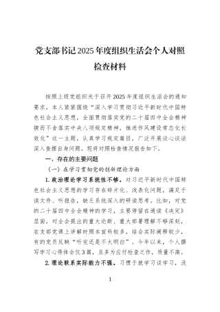 党支部书记2025年度组织生活会个人对照检查材料