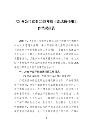 XX分公司党委2025年度干部选拔任用工作情况报告