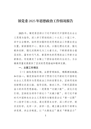 镇党委2025年思想政治工作情况报告