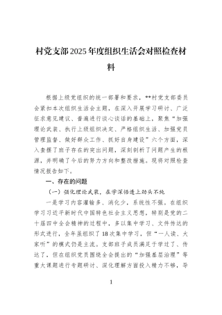 村党支部2025年度组织生活会对照检查材料