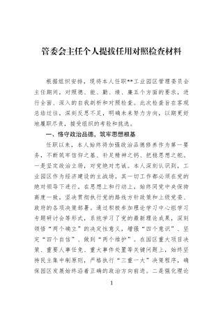 管委会主任个人提拔任用对照检查材料